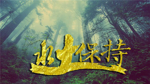 水土保持方案